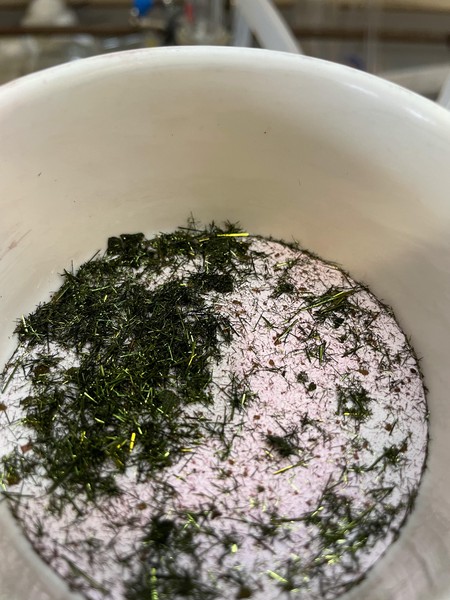 Green crystals in a Buchner funnel