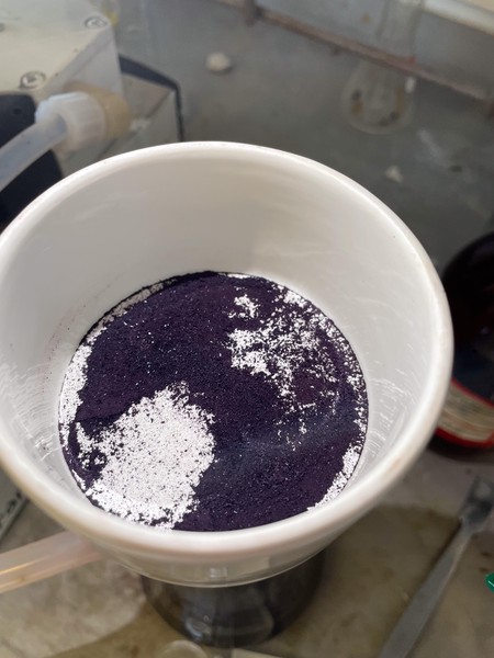Purple crystals in a Buchner funnel