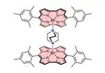 Complexity in chemistry