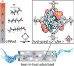 Efficient Removal of Short-Chain Perfluoroalkyl Substances by Cavity-Directed Aggregation in a Molecular Cage Host