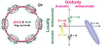 Disentangling global and local ring currents