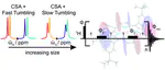 Harnessing NMR relaxation interference effects to characterise supramolecular assemblies