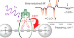 Photophysics of Threaded sp-Carbon Chains: The Polyyne is a Sink for Singlet and Triplet Excitation