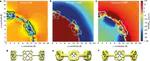 Aromatic and antiaromatic ring currents in a molecular nanoring