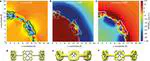 Aromatic and antiaromatic ring currents in a molecular nanoring