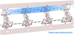 Photogenerated triplet states in supramolecular porphyrin ladder assemblies: an EPR study