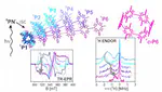 Transient EPR Reveals Triplet State Delocalization in a Series of Cyclic and Linear π-Conjugated Porphyrin Oligomers