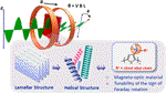 Insights into Magneto-Optics of Helical Conjugated Polymers