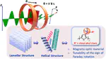 Insights into Magneto-Optics of Helical Conjugated Polymers